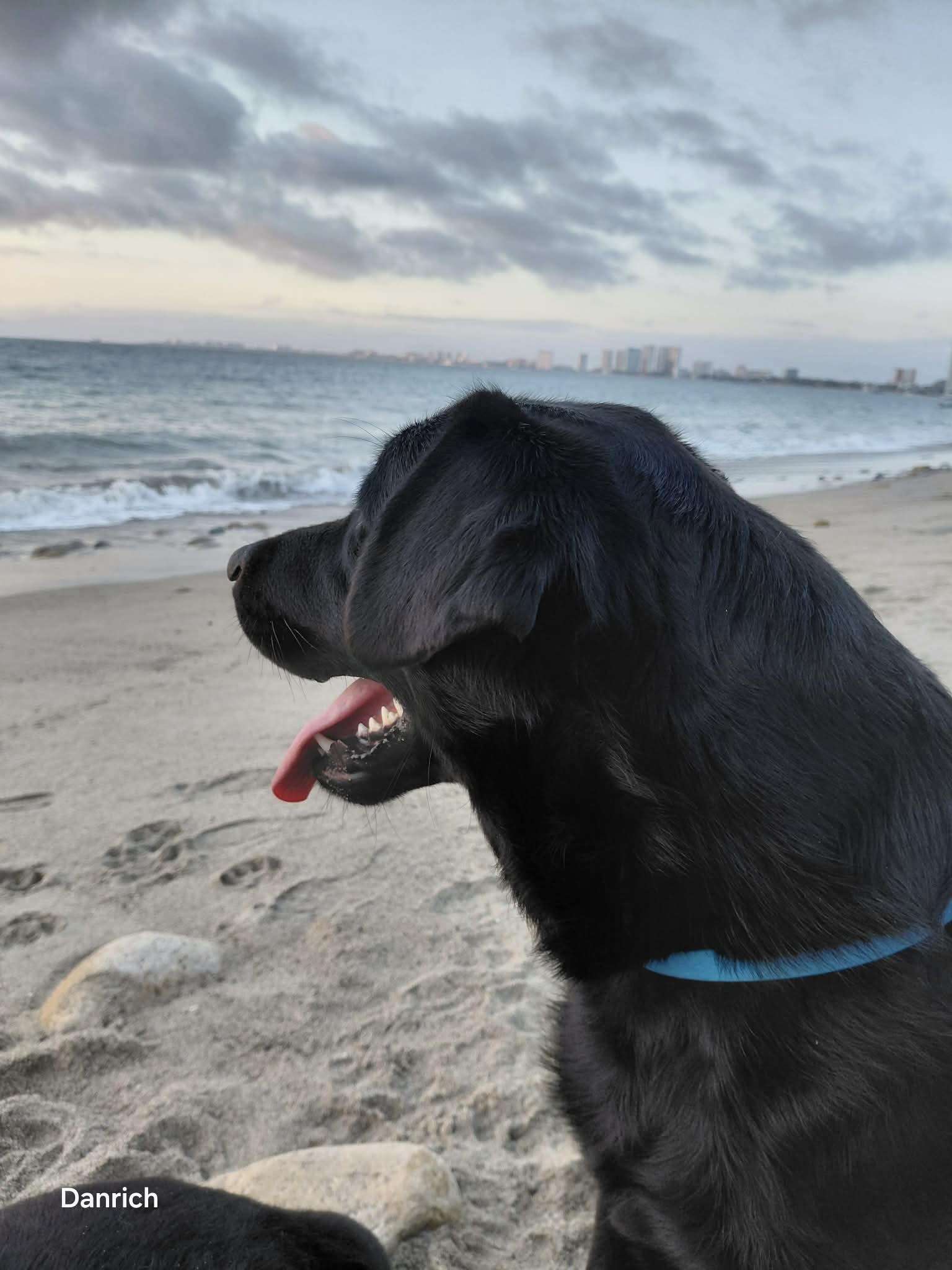 MagpieBeachPV2026 Magpie on the Beach in Puerto Vallarta