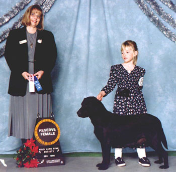 Sunnydaze Skyfire Ladybird, retired black English Labrador